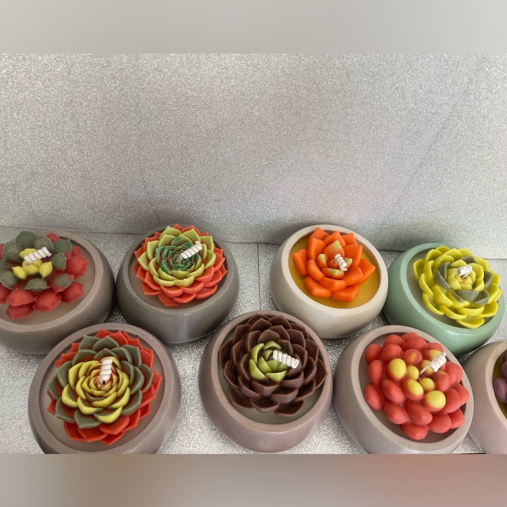 Succulent candles